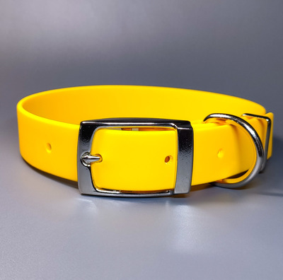 R-Dog     Lite,  ,   