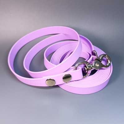 R-Dog     Lite,   "",  