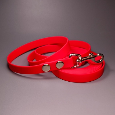 R-Dog     Lite,  ,  