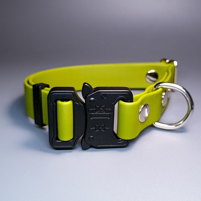 R-Dog     Lite,   "",  