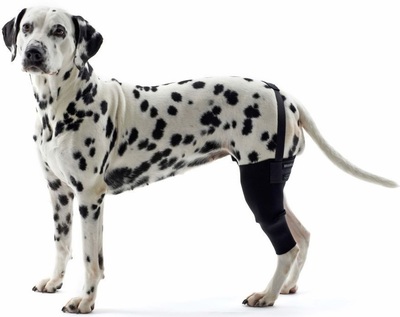 Kruuse Rehab Hock Protector       ()