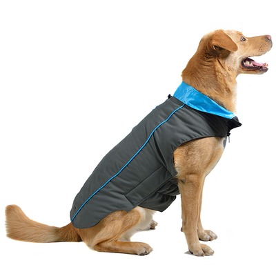    Trailblazer Dog Gone Smart ,     ()