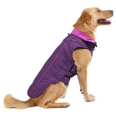    Trailblazer Dog Gone Smart ,     ()
