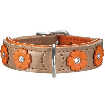 Hunter  Daisy   ,  