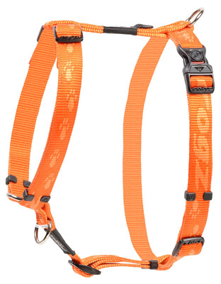 Rogz    Alpinist,   ()