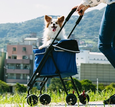 Ibiyaya    Astro Go Lite Pet Stroller  Grungy Blue () ()