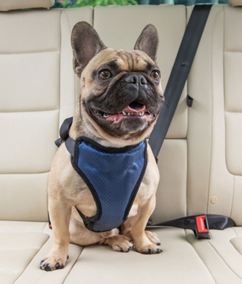 Solvit       Deluxe Car Safety Dog Harness,  M ()