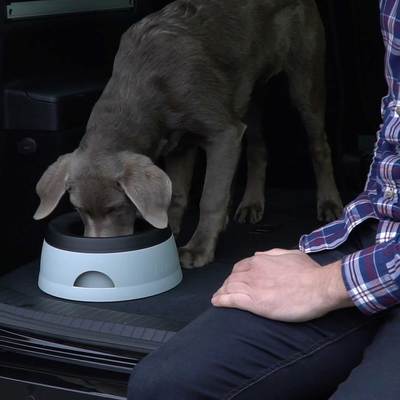 Hunter Travel bowl Road Refresher -   ()