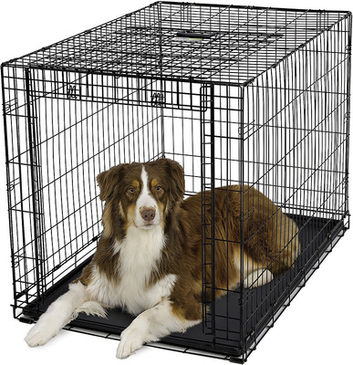 Midwest Crate Ovation,      - ,   ()