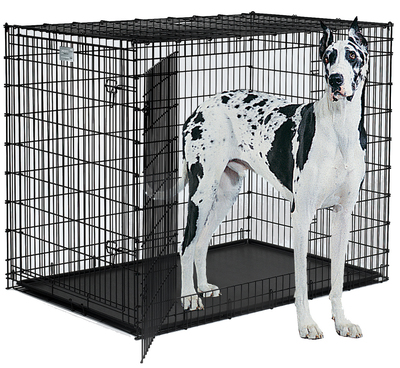 Midwest Crate "Ginormus" Canine Solutions, клетка для собак крупных и гигантских пород, 2 двери, размер 137х94х114 см (фото)