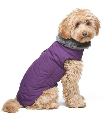      Tamarack Jacket Dog Gone Smart,   ()
