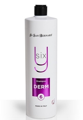 Iv San Bernard Derm Y6       1 