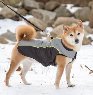 Dog Gone Smart       ,       Meteor Nanobreaker Jacket ()