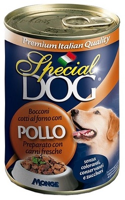 Special Dog     