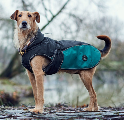 Hunter утепленная куртка для собак Uppsala Cozy, цвет антрацит/бирюзовый (фото)