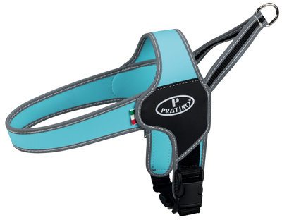 Trixie Pratiko   Apollo,  