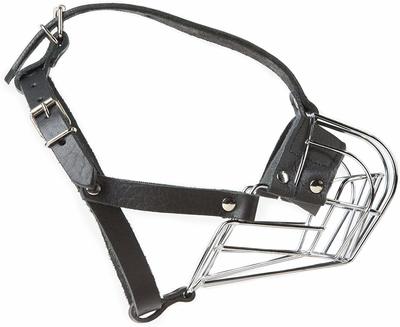 JULIUS-K9     c   Middle (33,57,59),   ()