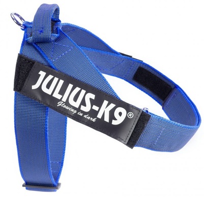 JULIUS-K9    Color & Gray IDC,   ()