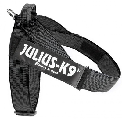JULIUS-K9    Color & Gray IDC,   ()