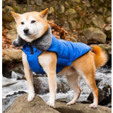 Dog Gone Smart куртка зимняя с меховым воротником Hemlock Jacket, цвет синий лазурит