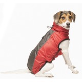 Dog Gone Smart   Hexagon jacket,   