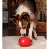 Неуловимое Яйцо игрушка для собак