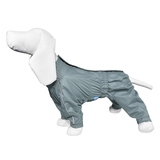 Darell дождевик для собак, цвет мятный, на гладкой подкладке