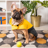 Tappi дождевик-попона с флисовой подкладкой для собак "Блант", цвет желтый