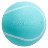 Playology хрустящий жевательный мяч SQUEAKY CHEW BALL с пищалкой и с ароматом арахиса, голубой