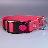 R-Dog     Lite,    ,  