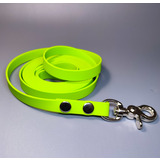 R-Dog     Lite,   "",   
