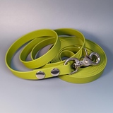 R-Dog     Lite,   "",  