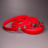 R-Dog     Lite,  ,  