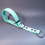 R-Dog      Lite,  