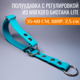 R-Dog      Lite,  