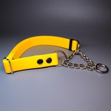 R-Dog      Lite  ,  