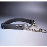 R-Dog      Lite  ,  
