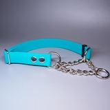 R-Dog      Lite  ,  