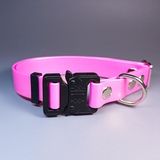 R-Dog     Lite,   "",   