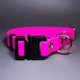 R-Dog     Lite,   "",  