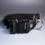 R-Dog     Lite,   "",  