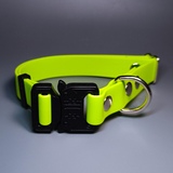 R-Dog     Lite,   "",   