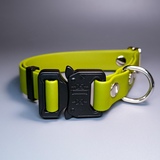 R-Dog     Lite,   "",  