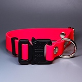 R-Dog     Lite,   "",  