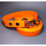 R-Dog     Lite,   ,  