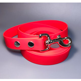R-Dog     Lite,   ,  