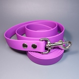 R-Dog     Lite,   ,  
