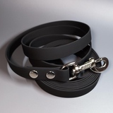 R-Dog     Lite,   ,  
