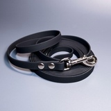 R-Dog     Lite    ,  