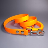 R-Dog     Lite,   ,  